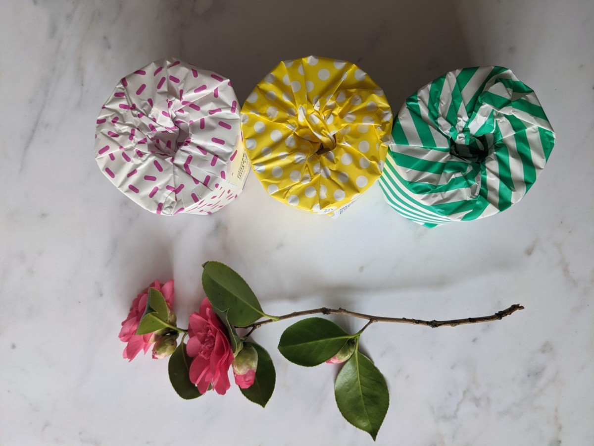3 colourful toilet paper rolls and branch of camelia